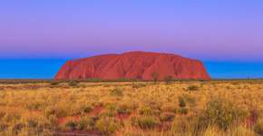 Foto: (bennymarty/iStock)