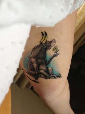 Ferdinando, o touro (crédito: @paulapell)