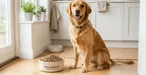 Fim da ração colorida: a preferência agora é por opções mais naturais e sem corantes