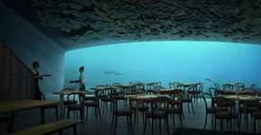 Foto: (Divulgação)