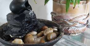 Ter estas plantas em casa atrai boas energias, segundo o Feng Shui