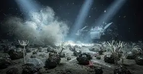 Foto: (Imagem sem texto alternativo disponivel ID [2730973])