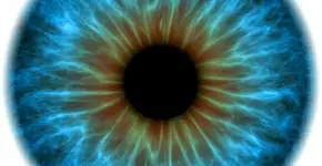 Ações de prevenção ao glaucoma acontecem em São Paulo