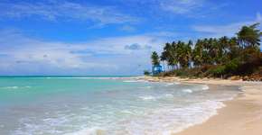 Foto: (Istock/LUIZA AQUINO)