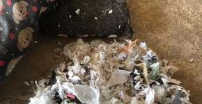 Mulher descobre que comprou colchonete feito com absorventes usados