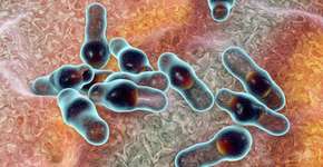 Foto: (Dr_Microbe/istock)