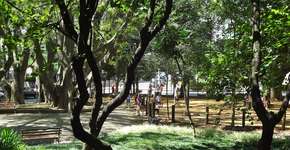 Site reúne informações e notícias sobre áreas verdes de SP