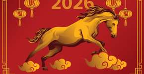 Foto: (Imagem sem texto alternativo disponivel ID [2709831])