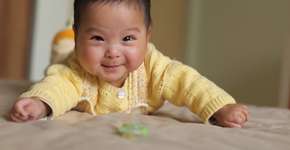 Foto: (Imagem sem texto alternativo disponivel ID [1608276])