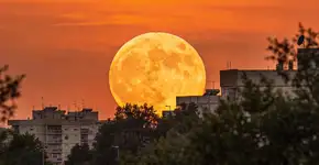 Foto: (Imagem sem texto alternativo disponivel ID [2704396])