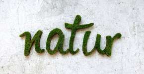 Aprenda a fazer grafite verde