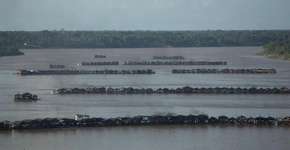 Mais de 300 balsas de garimpeiros invadem rio na Amazônia