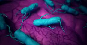 Foto: (iSTock/SciePro)