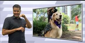 Projeto torna praias cariocas acessíveis