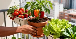 Foto: (Imagem sem texto alternativo disponivel ID [2669705])