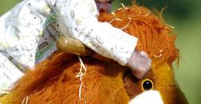 Foto: (Imagem sem texto alternativo disponivel ID [723575])