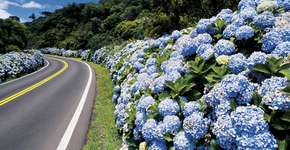 Rota Romântica: saiba tudo sobre o roteiro na Serra Gaúcha