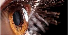 Células de córnea são criadas em laboratório dos EUA