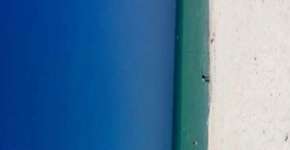 ‘Praia ou porta?’: novo mistério se torna viral nas redes sociais