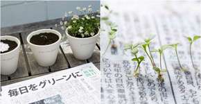 Foto: (Imagem sem texto alternativo disponivel ID [1134430])