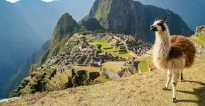 Black Friday: Site tem pacotes de viagem internacional a partir de R$ 899