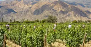 Foto: (Divulgação/Visit Argentina)