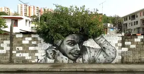 Fotos mostram arte urbana que interage com a natureza