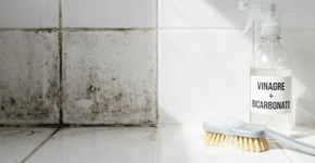 Foto: (Imagem sem texto alternativo disponivel ID [2740979])