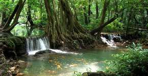 Foto: (Imagem sem texto alternativo disponivel ID [1836592])