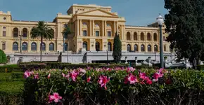 Exposição ‘Design e cotidiano na coleção Azevedo Moura’