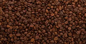 Foto: (Depositphotos)