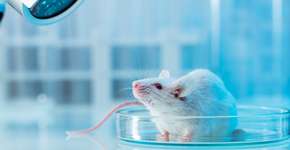 Foto: (D-Keine/istock)