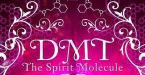 DMT – A MOLÉCULA DO ESPÍRITO – ESTRÉIA NACIONAL !