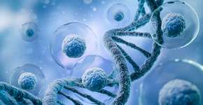 Foto: (iStock/anusorn nakdee)