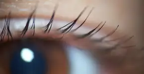 Foto: (Radu Bighian/istock)