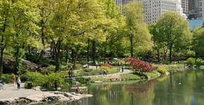 Foto: (Imagem sem texto alternativo disponivel ID [1834797])