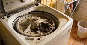 Foto: (Imagem sem texto alternativo disponivel ID [2677362])