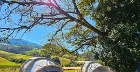 Foto: (Reprodução/ Instagram @poraidebarraca)