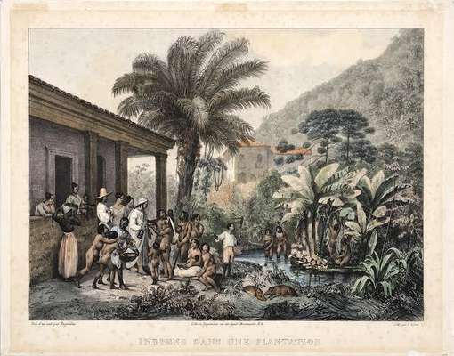 Rugendas Indiens dans une plantation - divulgação