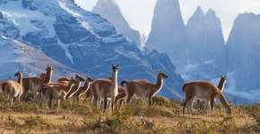 Chile flexibiliza regras de entrada de turistas; saiba mais