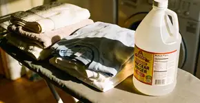 Foto: (Imagem sem texto alternativo disponivel ID [2702464])