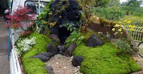 Foto: (Imagem sem texto alternativo disponivel ID [1840439])