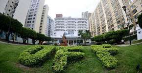 UFF oferece cursos online e gratuitos com certificado