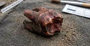 Os restos encontrados nos dentes de uma mulher de 4.000 anos atrás podem mudar o que sabemos sobre o consumo de betele na Ásia