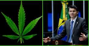 ‘Estão indo lá para fumar maconha e matar os outros’ diz senador