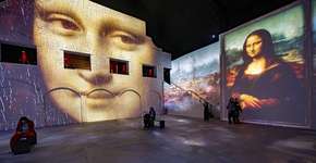 Visualfarm Gymnasium: Leonardo da Vinci