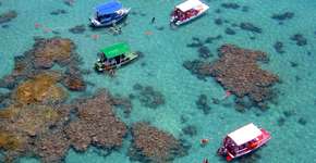 Foto: (Imagem sem texto alternativo disponivel ID [837982])