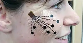 Foto: (Imagem sem texto alternativo disponivel ID [1894451])