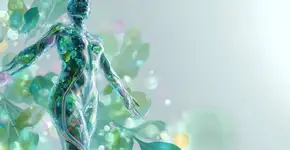 O poder dos óleos essenciais na drenagem linfática