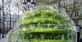 Jardins-bolha simulam cultivo doméstico nas ruas de Paris